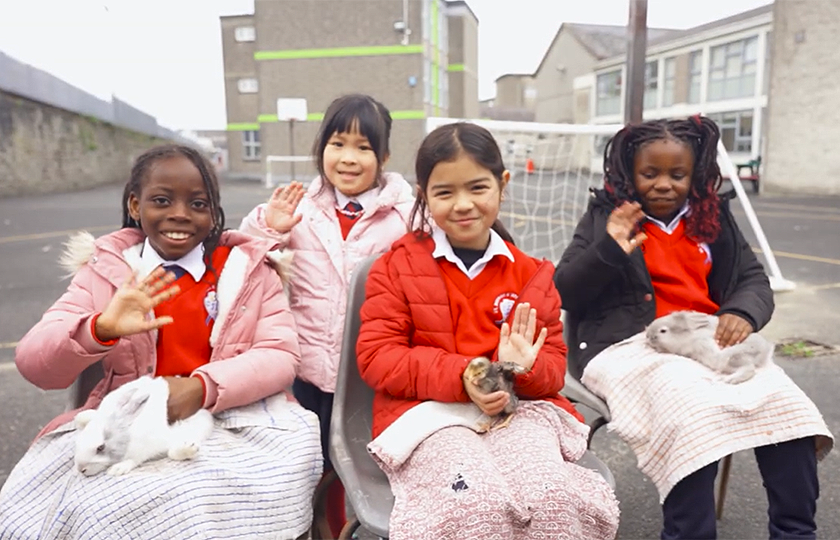 Four children sitting in the playground playing with bunnys.